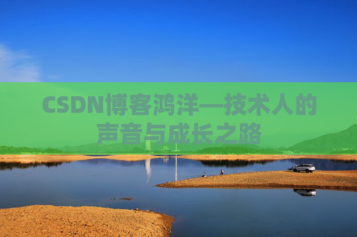 CSDN博客鸿洋—技术人的声音与成长之路